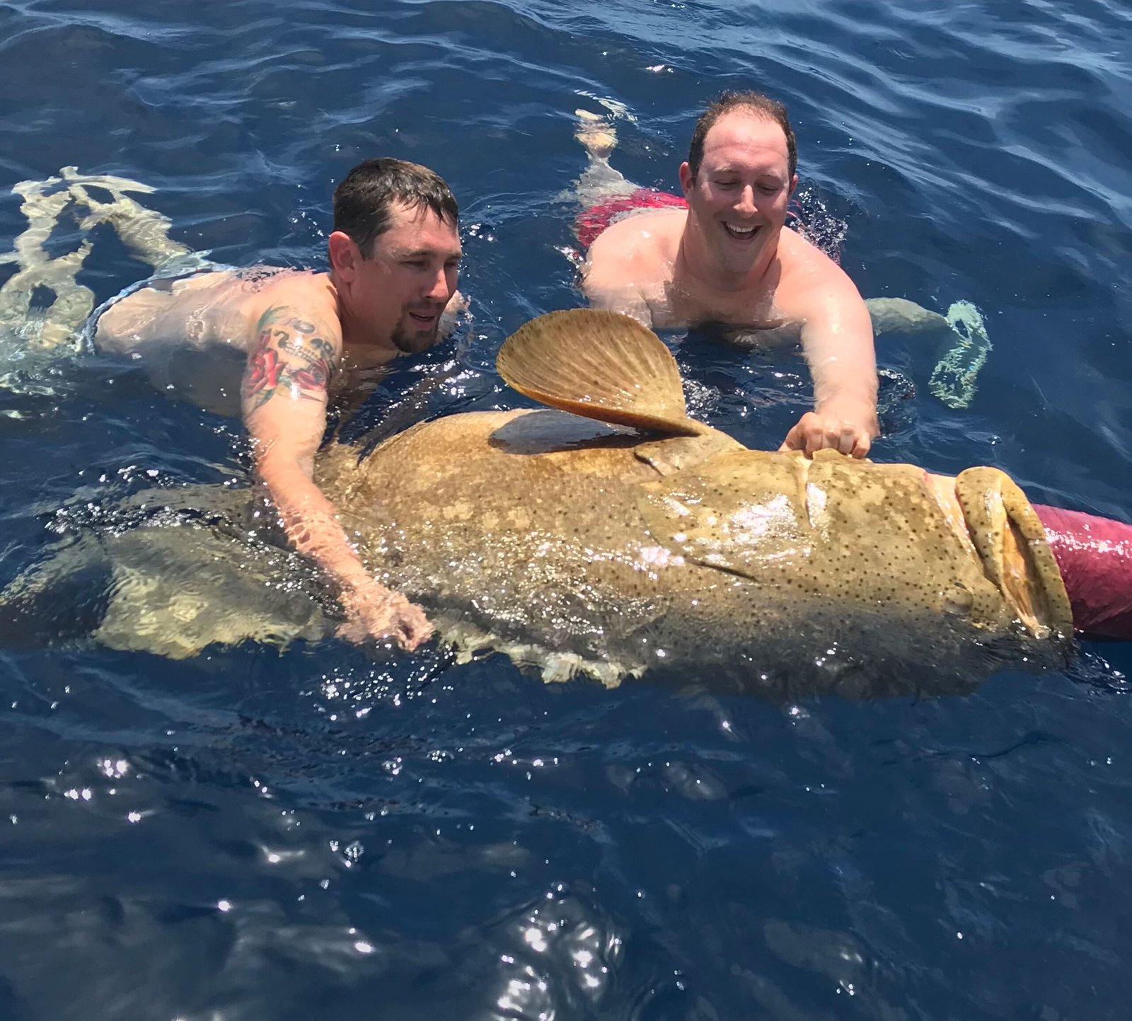 Brent and Kenny helping us bring in 255 a pound goliath grouper